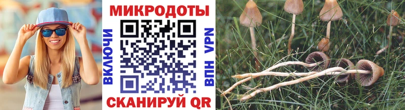 Купить закладки  Троицк  Галлюциногенные грибы Cubensis 